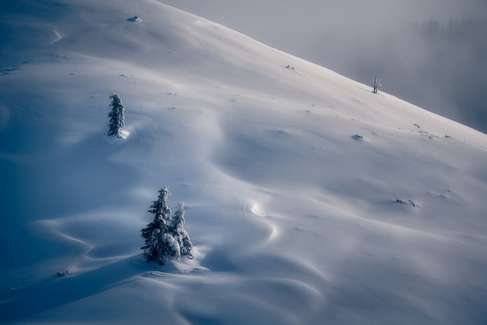 Winter Mountain Serenity by Ionut Petrea — canvas wall art