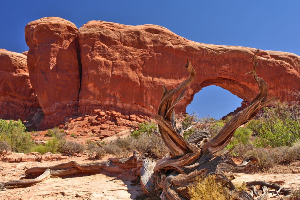Red Rock Desert Arch by Melanie Viola — canvas wall art