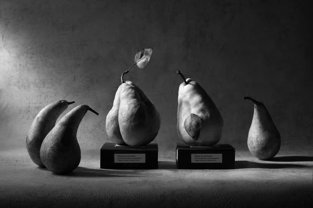 Monochrome Pear Exhibition by Victoria Glinka — canvas wall art