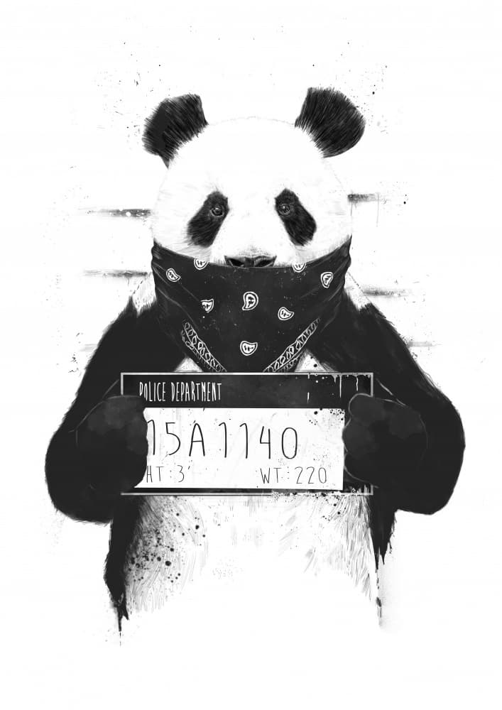 Gangster Panda Mugshot by Balazs Solti — canvas wall art