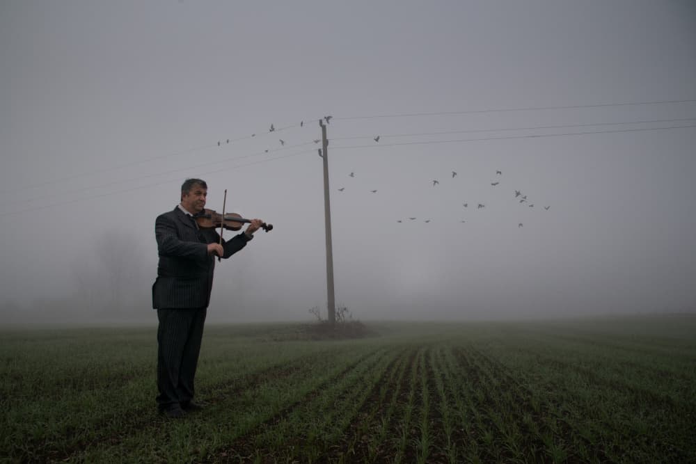 Violinist in Misty Field by Ivelina Berova — canvas wall art
