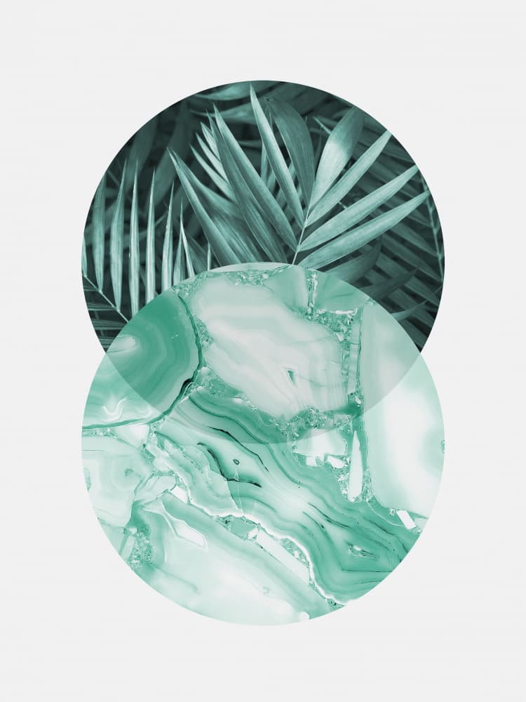 Palm and Agate Geometry by Vitor Costa — canvas wall art