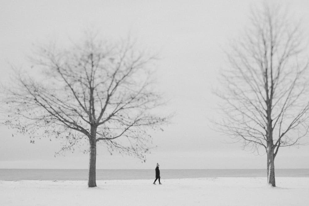 Winter Walk Alone by Cindy Liu — canvas wall art