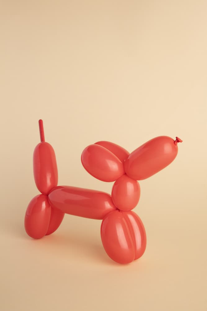 Red Balloon Dog by Julia Ramiro — canvas wall art