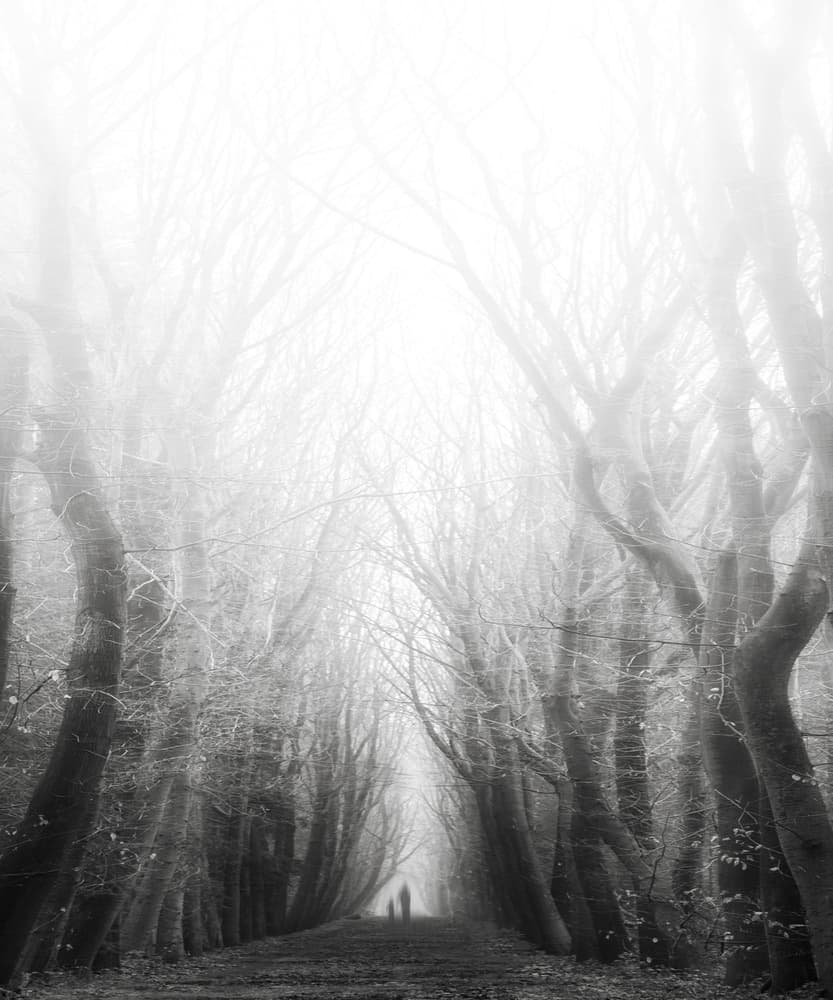 Mysterious Foggy Path by Yvette Depaepe — canvas wall art