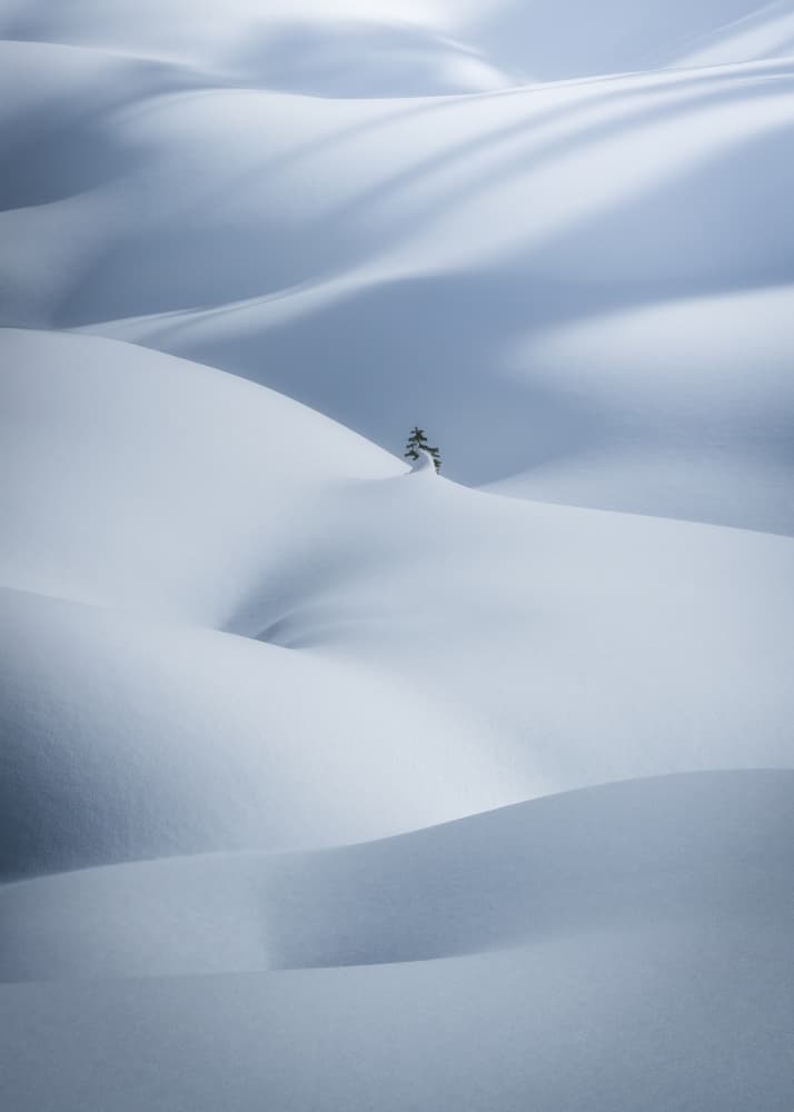 Serene Snowscape Tree by Gerald Macua — canvas wall art
