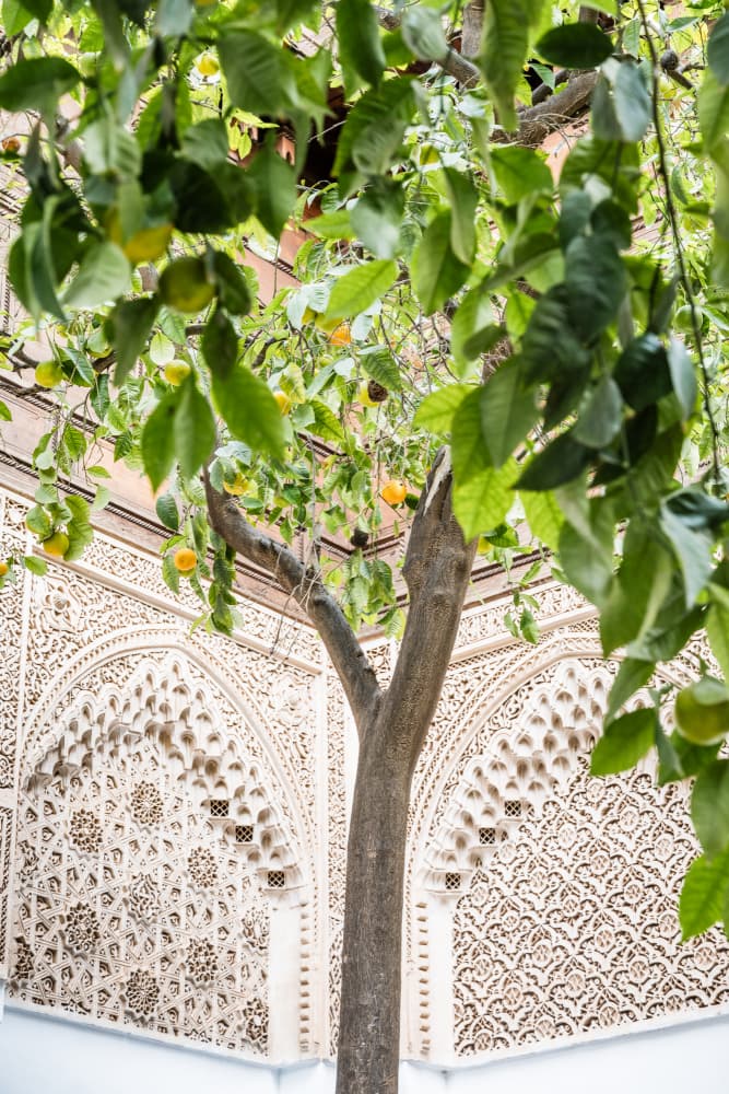 Moroccan Courtyard Citrus by Photolovers — canvas wall art
