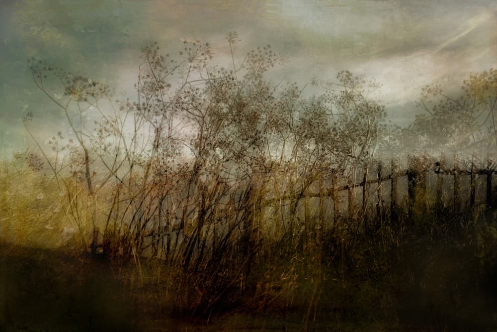 Old dream by Nel Talen — canvas wall art