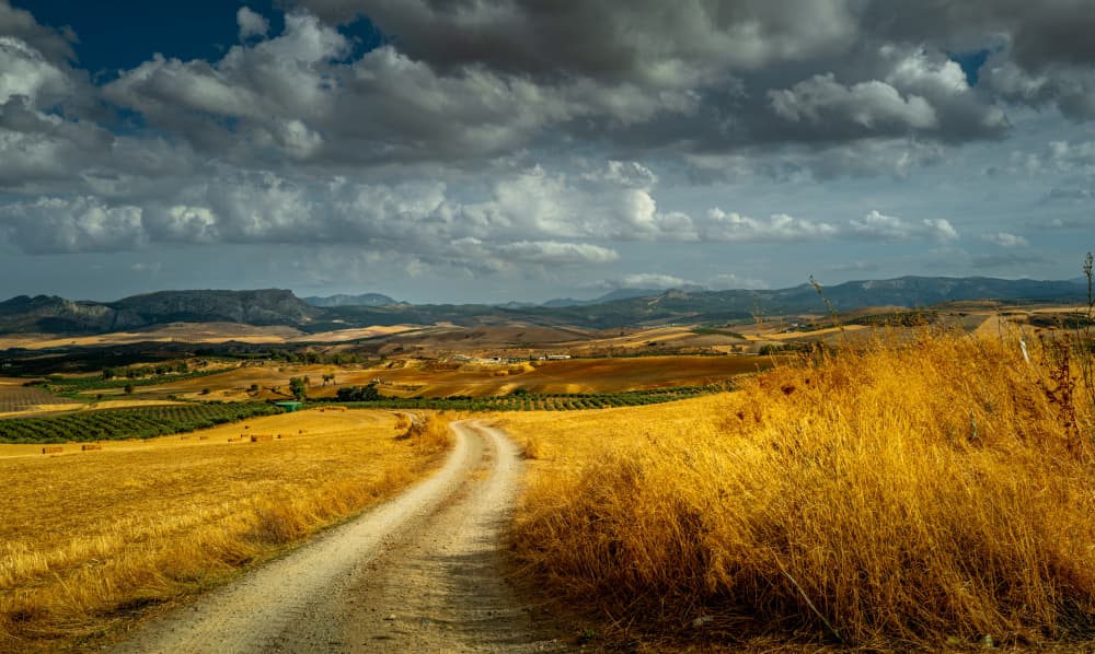 Winding Country Road by Slawomir Kowalczyk AFRP FIAP IAAP — canvas wall art