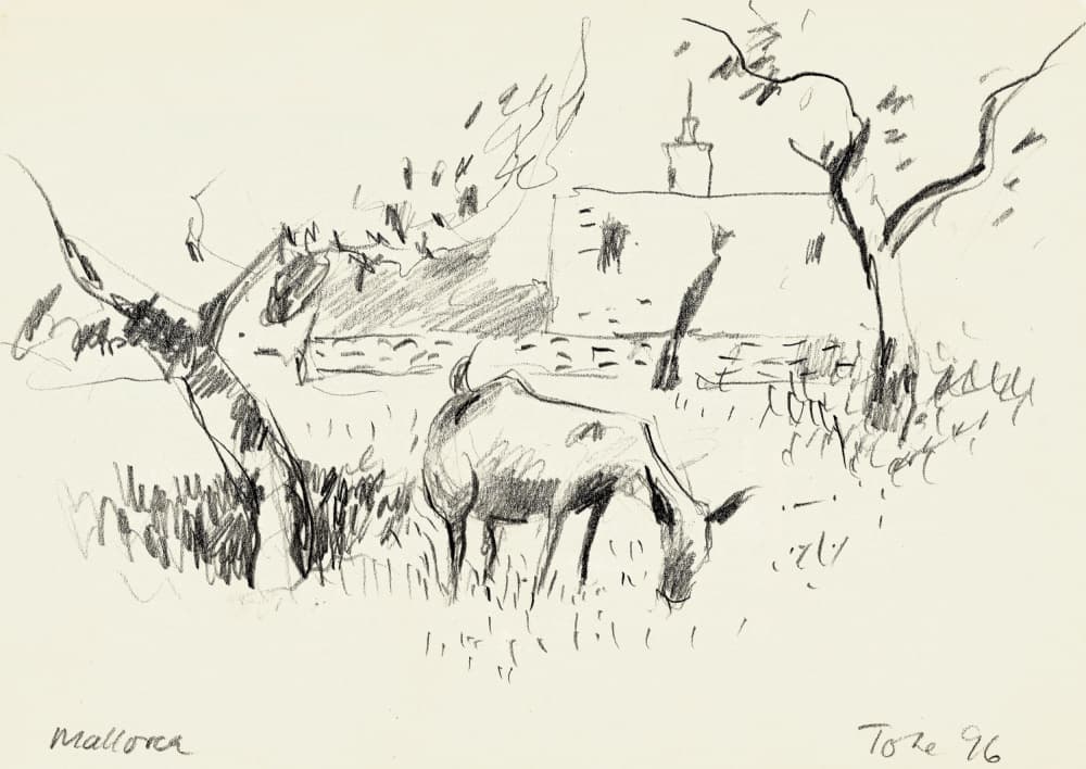 Grazing Goat Sketch by Tore Bahnson — canvas wall art