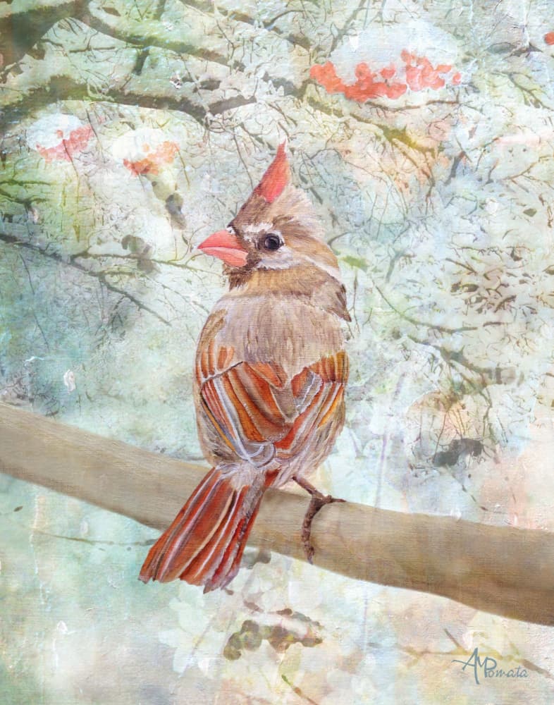 Calm Winter Cardinal by Angeles M. Pomata — canvas wall art