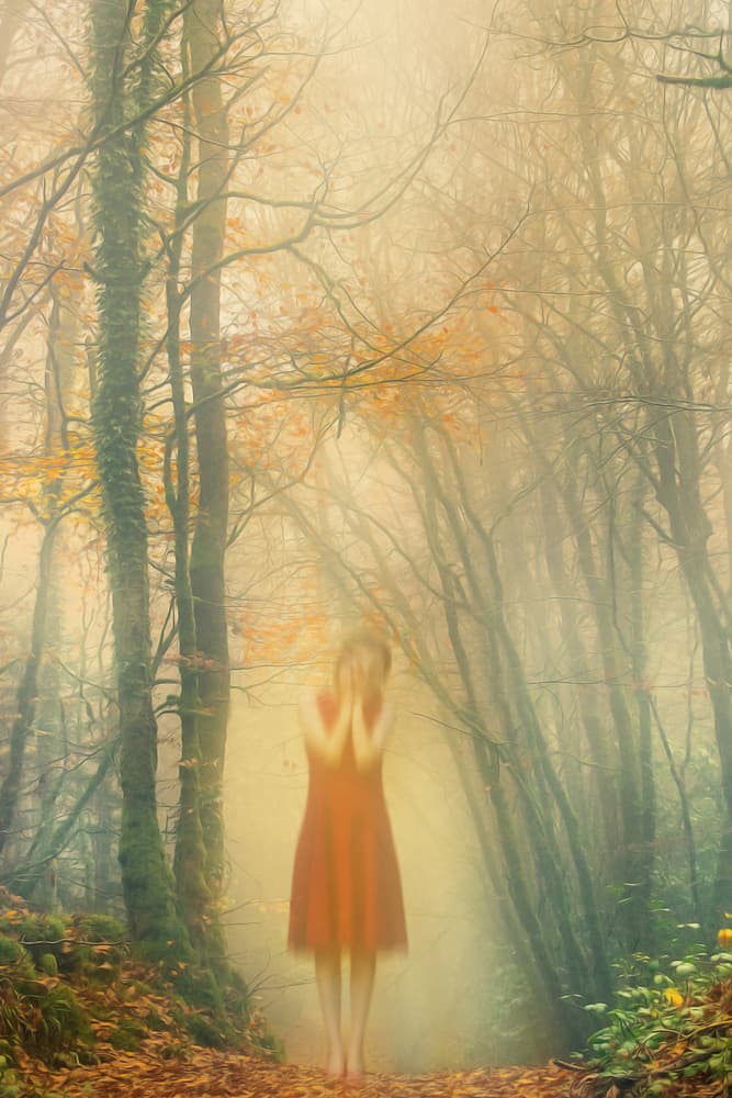 Ethereal Forest Spirit by Ludmila Shumilova — canvas wall art