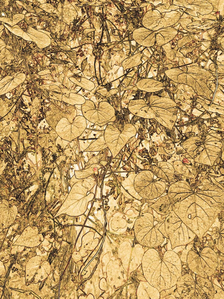 Intricate Golden Foliage by Santhosh ch — canvas wall art