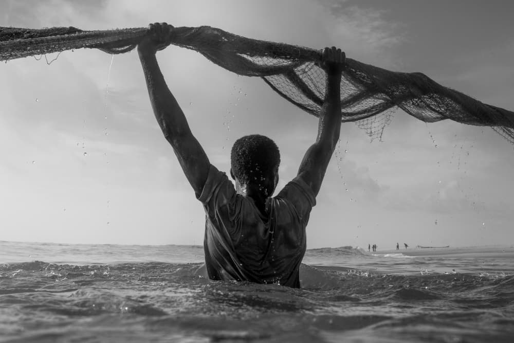 Fisherman's Ocean Net by Anthony Fox — canvas wall art