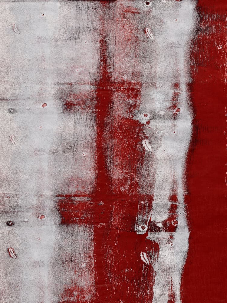 Bold Crimson Abstract by Dina Dankers — canvas wall art