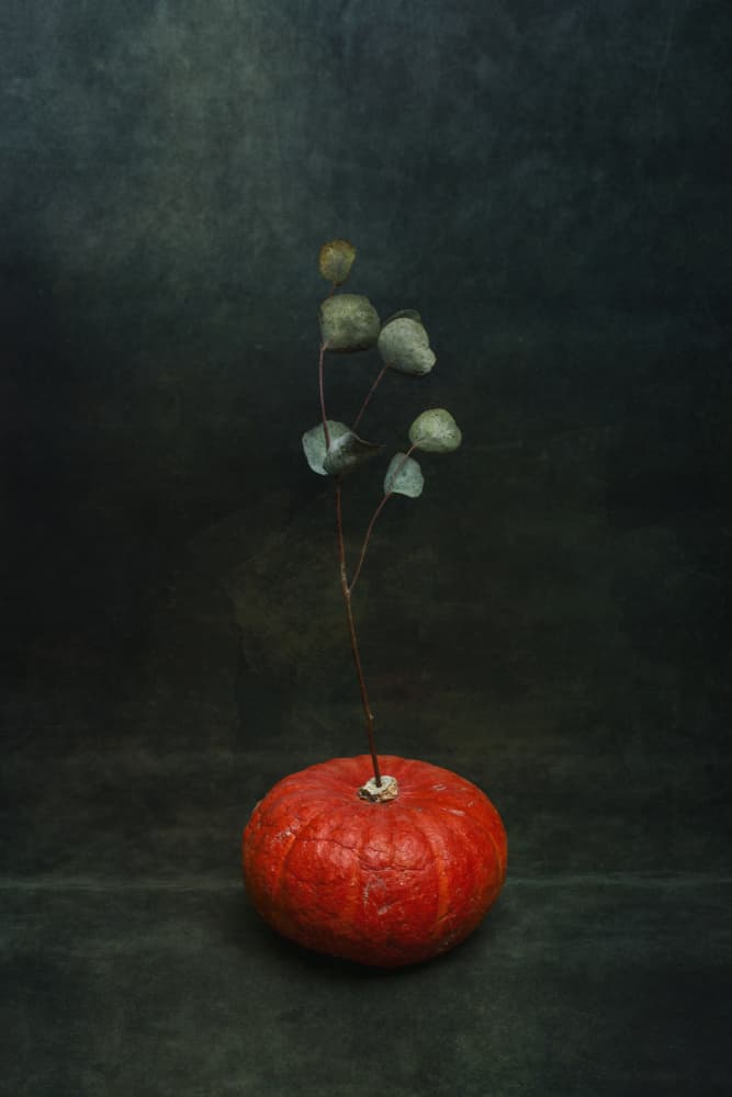 Moody Pumpkin Eucalyptus by Brig Barkow — canvas wall art