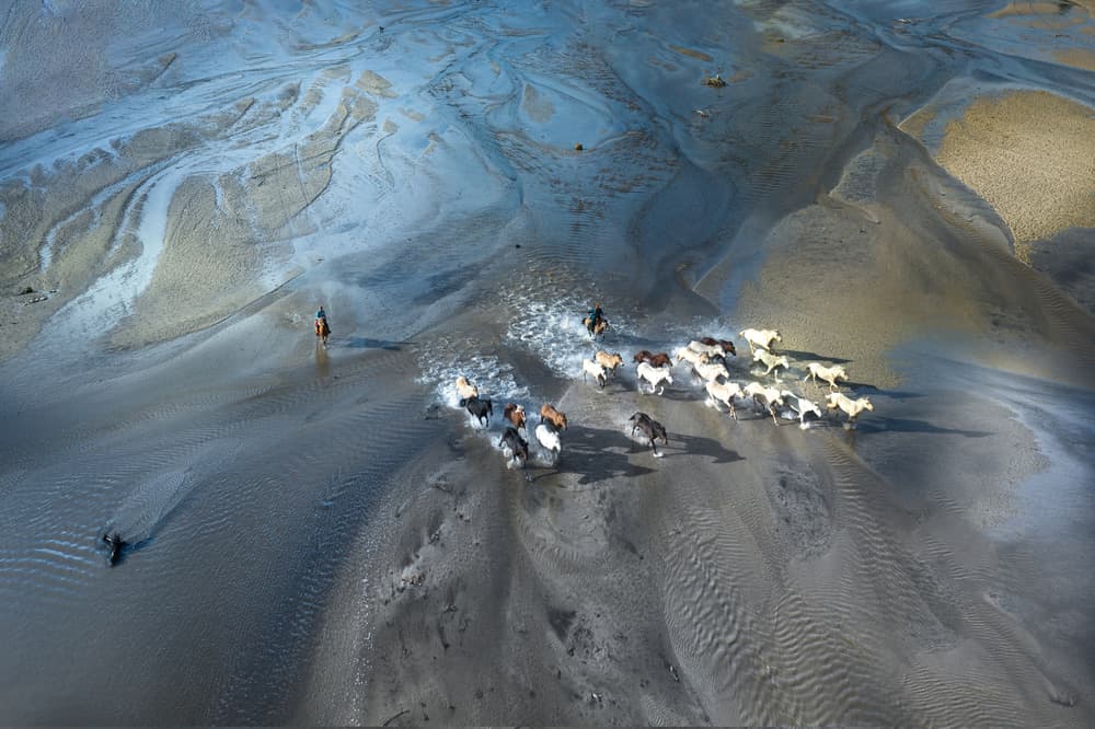 Wild Horses In River by Simoon — canvas wall art
