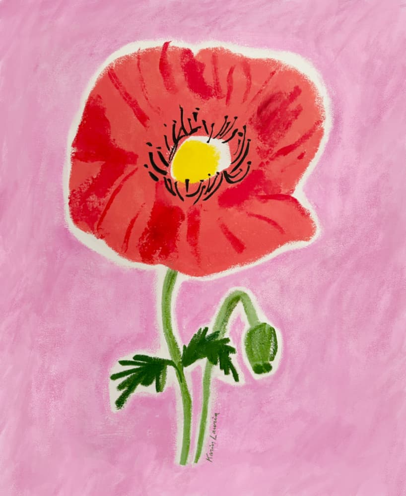 Red Poppy Bloom