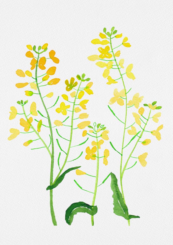 Watercolor Spring Flowers by Kata Botanical — canvas wall art