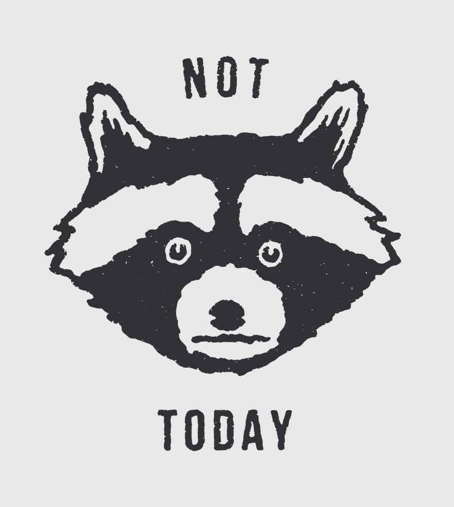 Grumpy Raccoon Not Today by Florent Bodart — canvas wall art