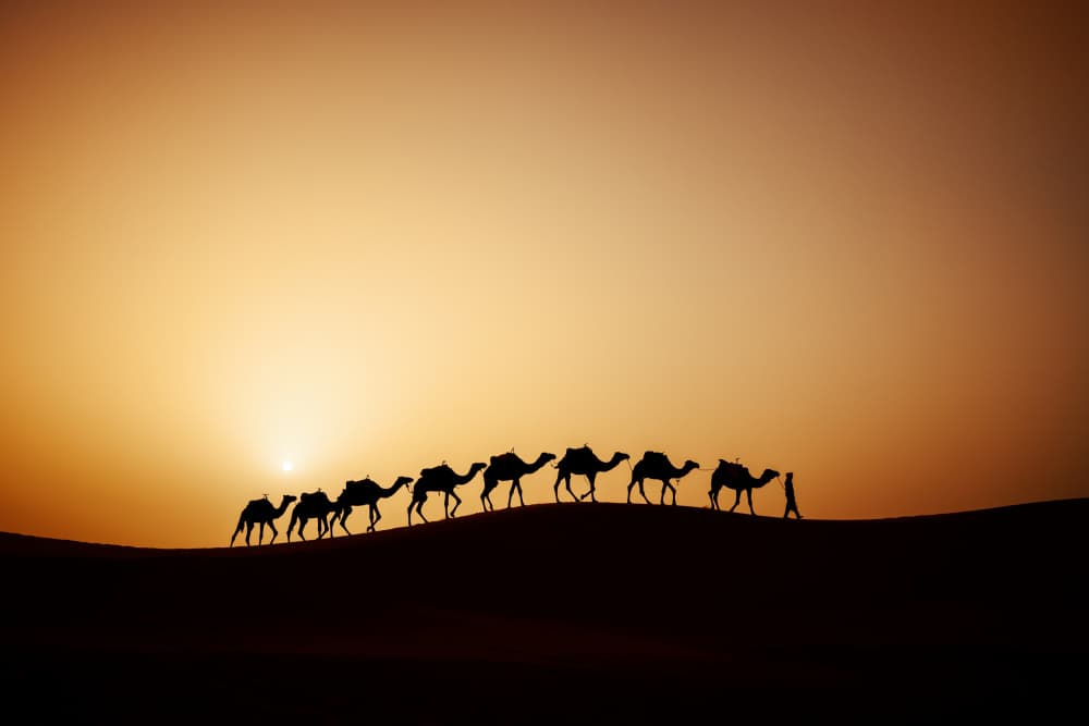 Golden Desert Journey by Adrian — canvas wall art