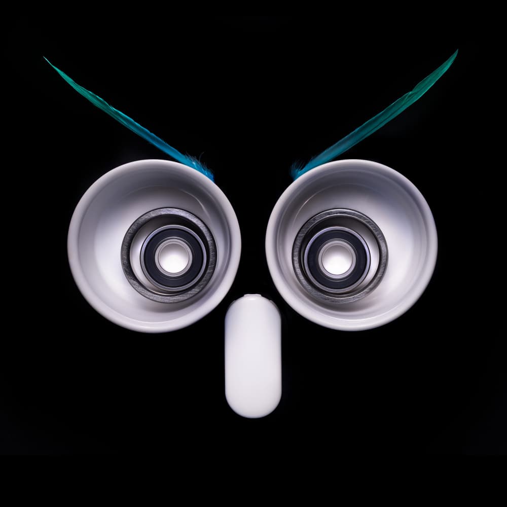 Wise Owl Glance by Rico Cavallo — canvas wall art