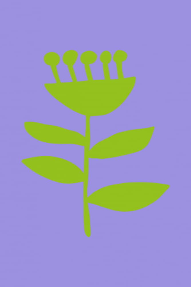 Green Lavender Flower