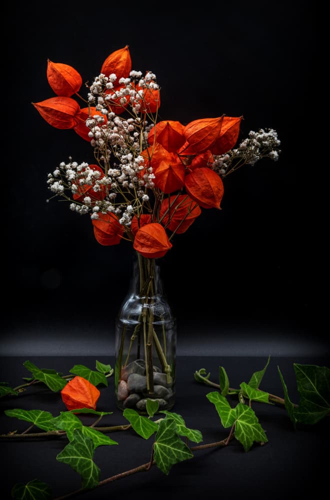 Elegant Autumn Botanicals by Urs Zimmermann — canvas wall art