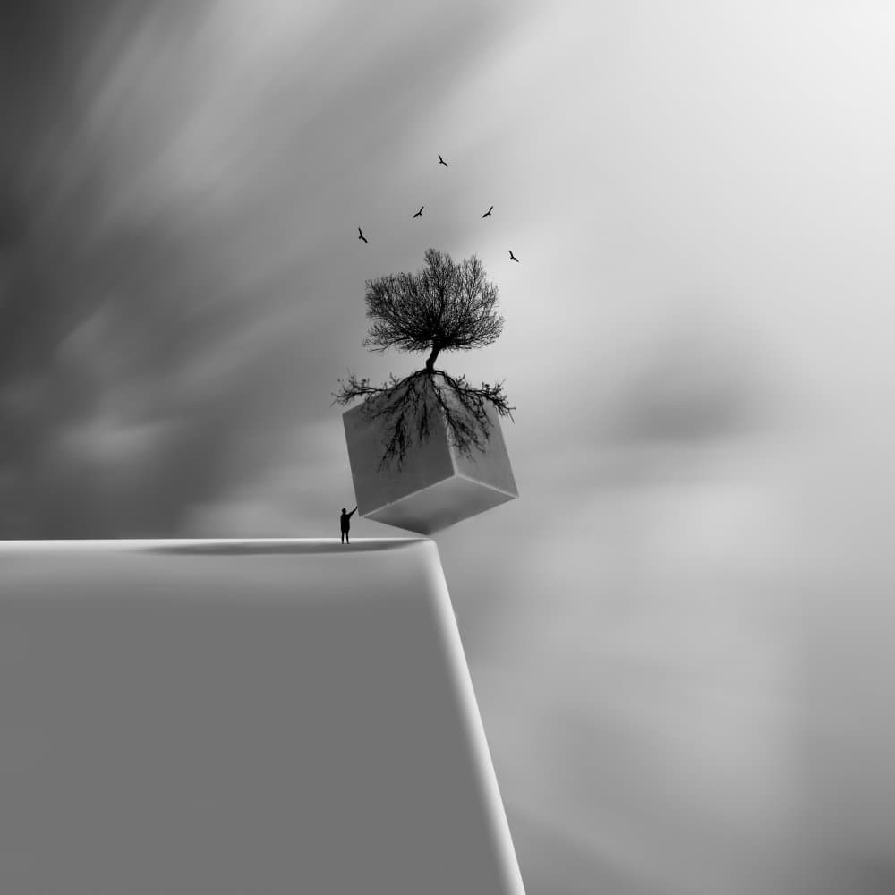 Precarious Balance Tree Cube by Hadi Malijani (Malenjani) — canvas wall art