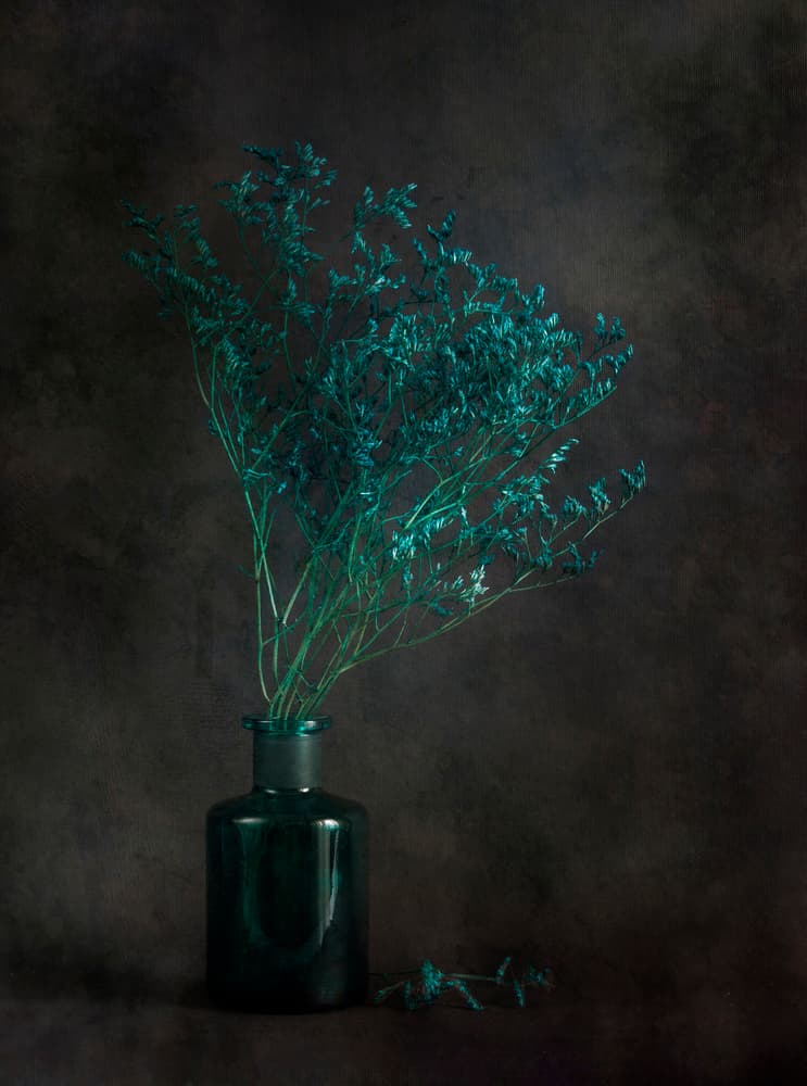 Moody Botanical Still Life by Cicek Kiral — canvas wall art