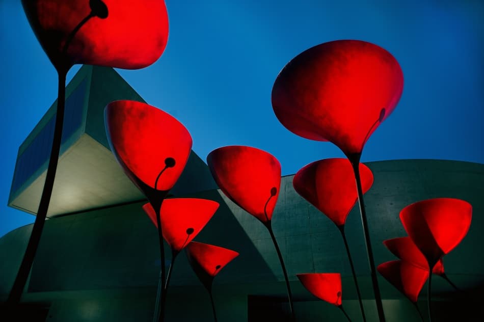 Modern Red Poppies by Fulvio Pellegrini — canvas wall art