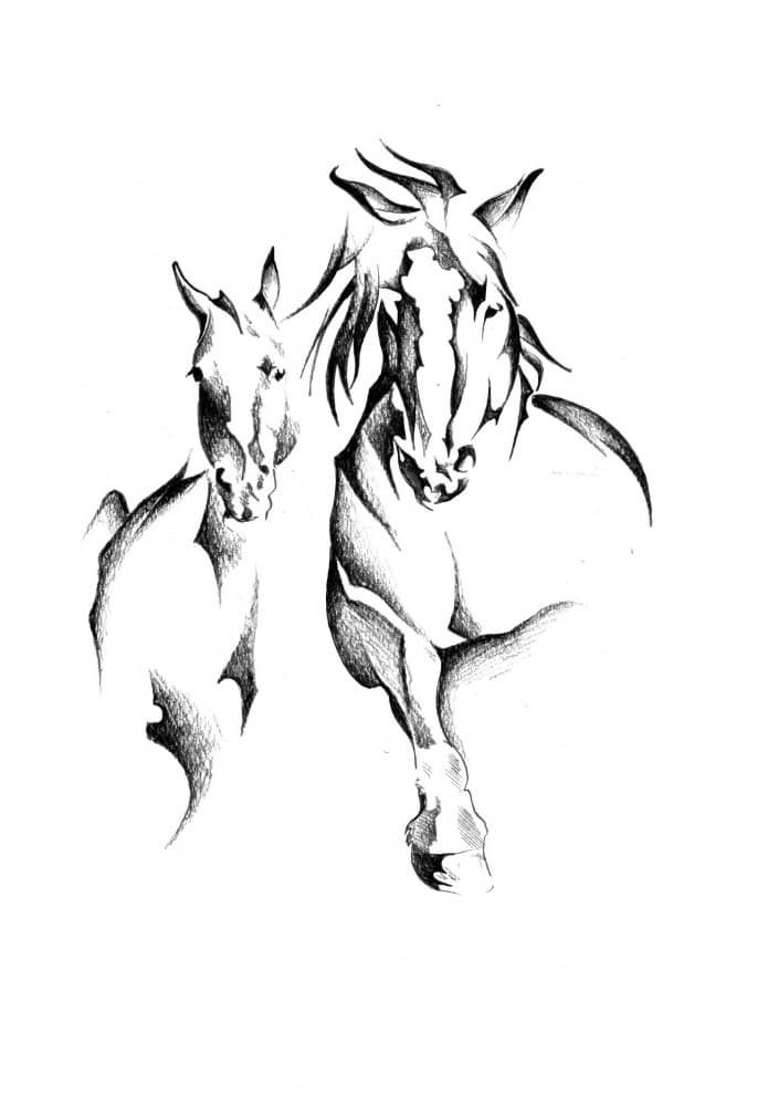 Wild Horse Duo by Kulik — canvas wall art