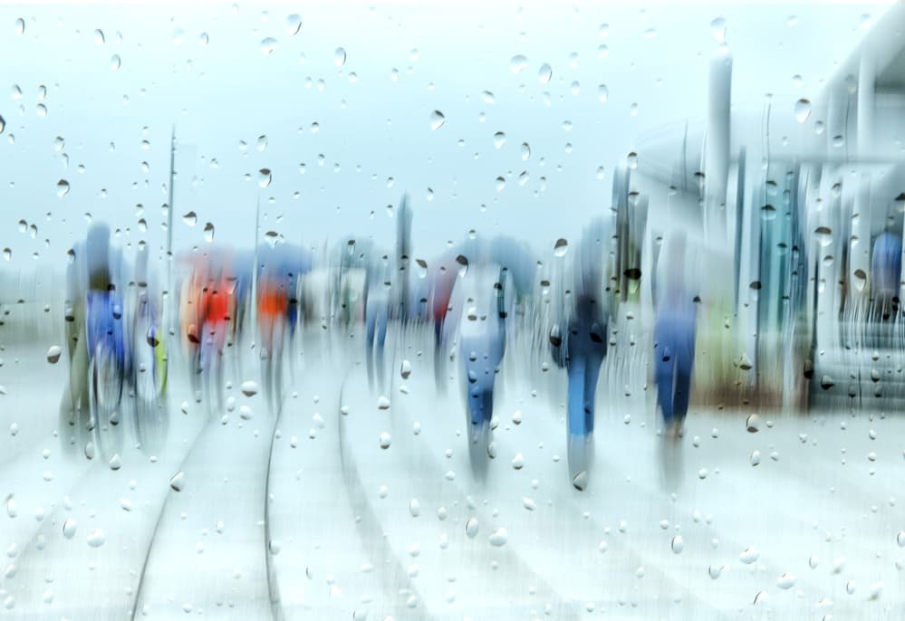 Through a Rainy Window by Anette Ohlendorf — canvas wall art