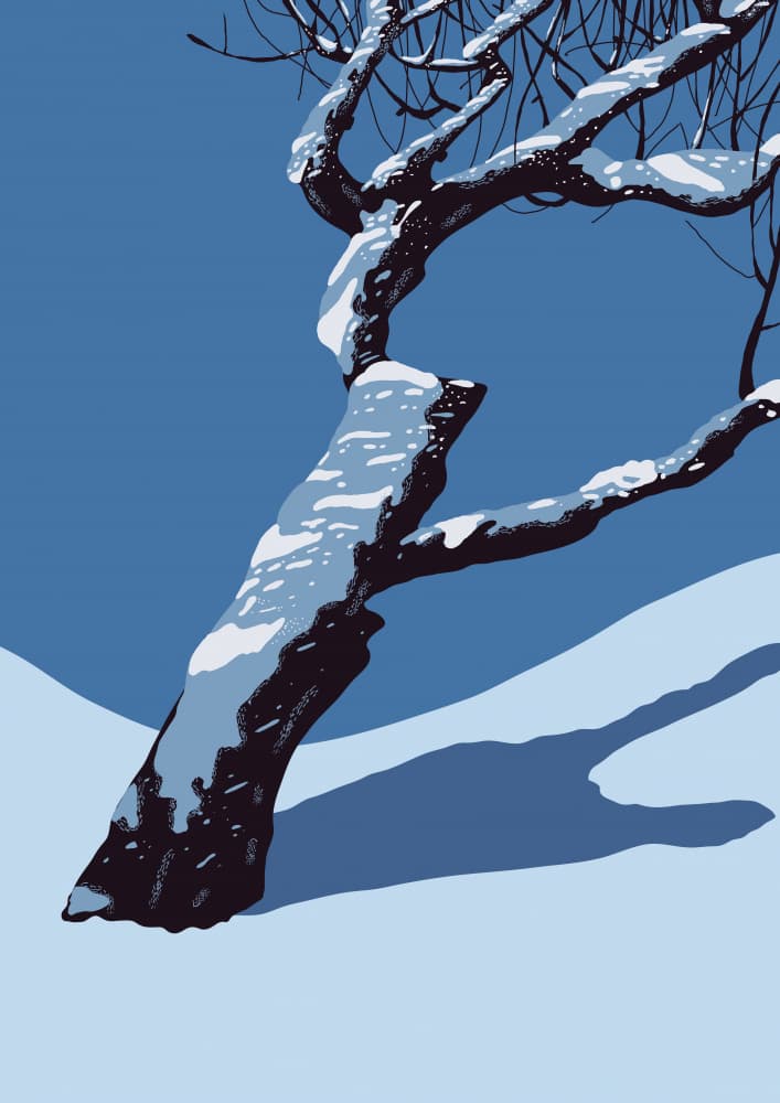 Snowy Winter Tree by Nicholas — canvas wall art