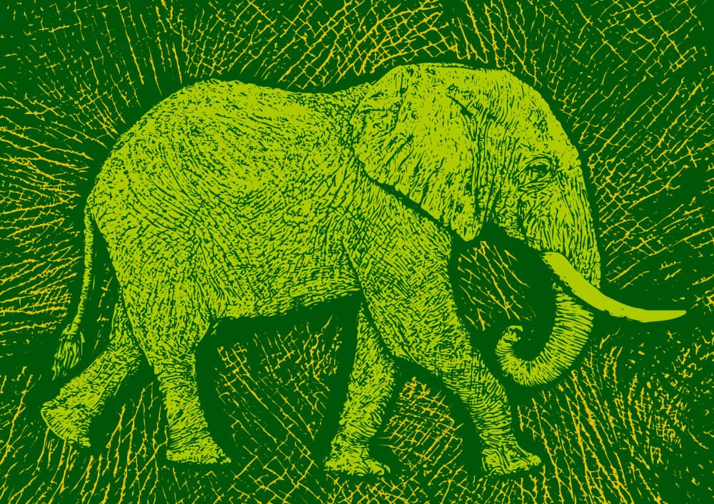 Green Elephant Journey by Carlo Kaminski — canvas wall art
