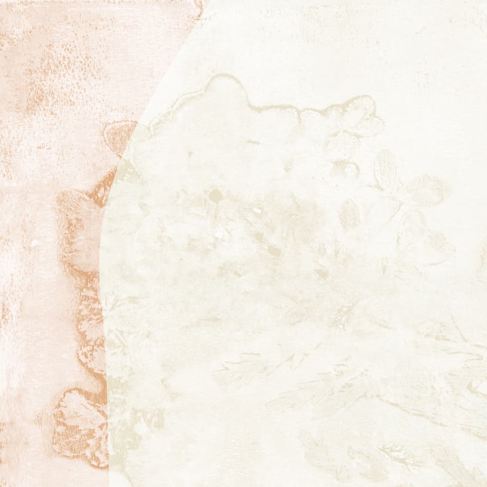 Soft Floral Textures by Dina Dankers — canvas wall art