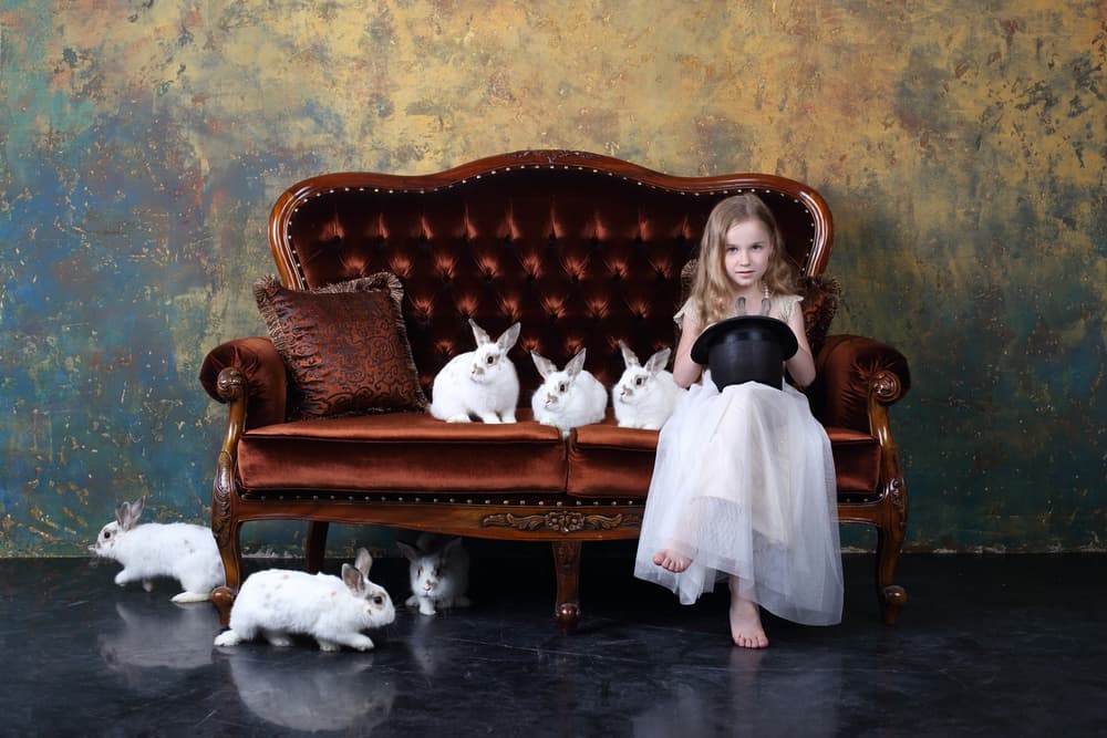 Whimsical Girl and Rabbits by Victoria  Glinka — canvas wall art