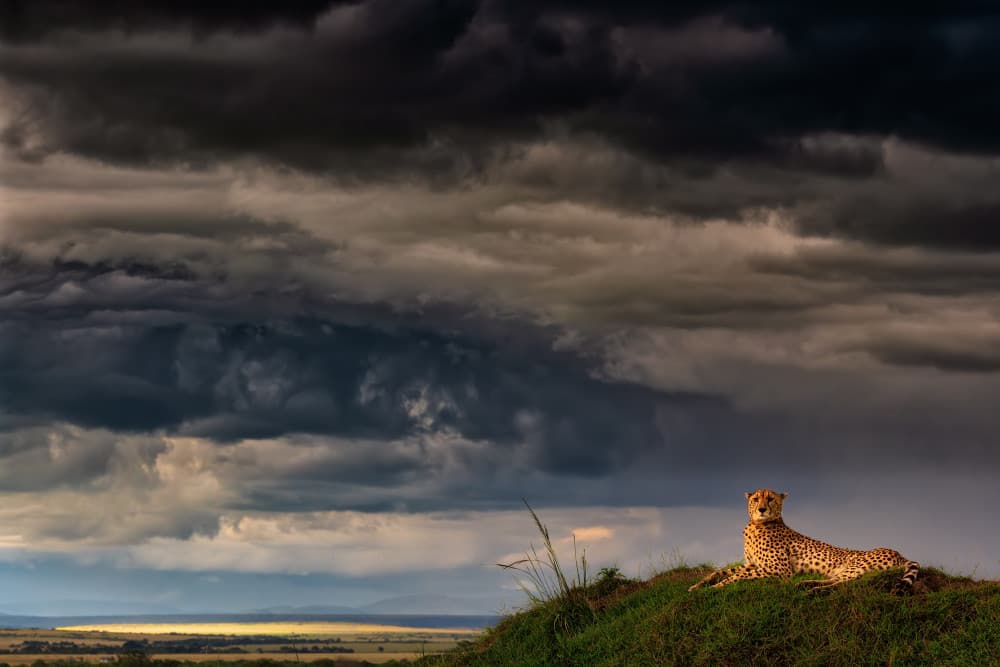 Under a stormy sky by Luigi Ruoppolo — canvas wall art