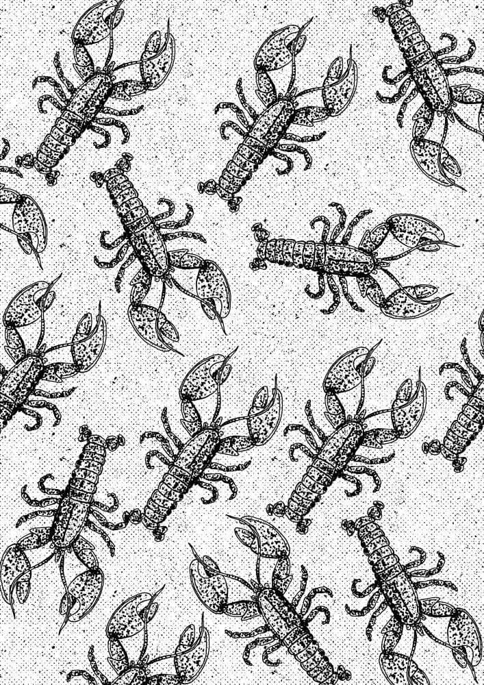 Hand Drawn Lobster Pattern