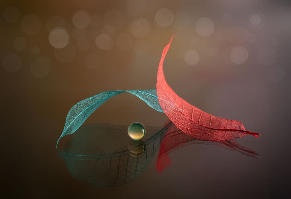 Delicate Leaves And Marble by Fan Lin (APA) — canvas wall art