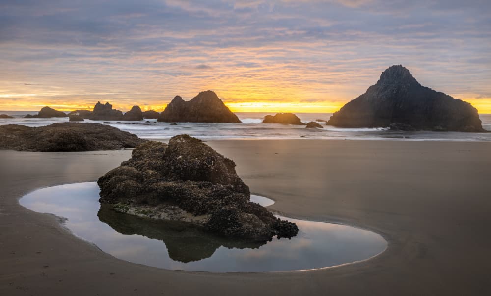 Golden Coastal Sunset by Alexander Lozitsky — canvas wall art