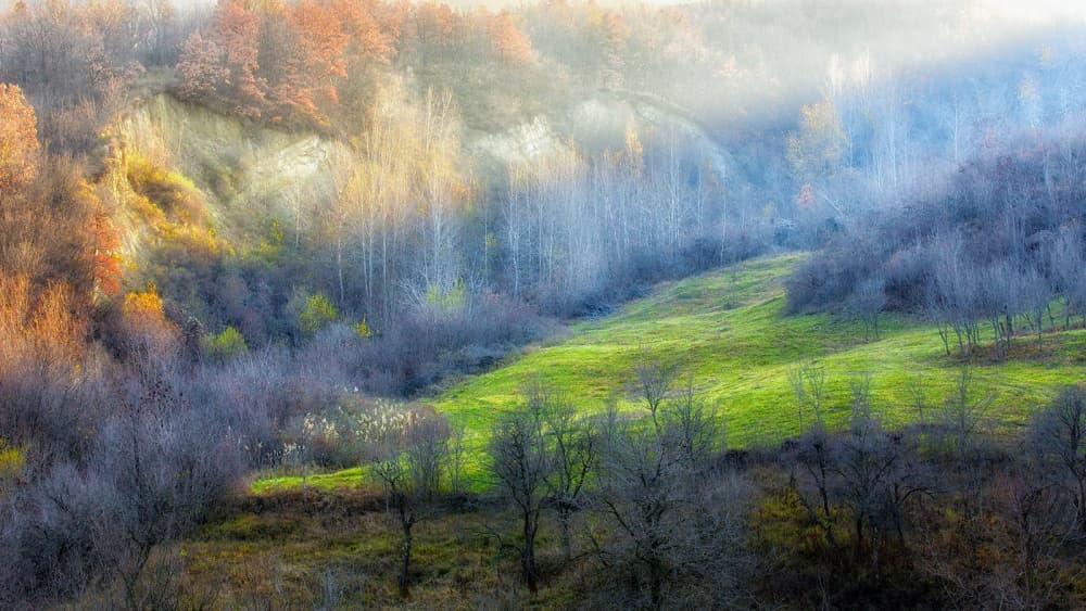 Misty Autumn Valley by Adrian Popan — canvas wall art
