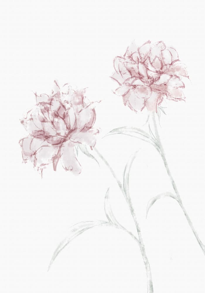 Watercolor Blush Blooms by Pictufy Studio II — canvas wall art