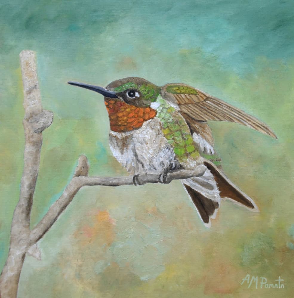 Vibrant Hummingbird Perched by Angeles M. Pomata — canvas wall art