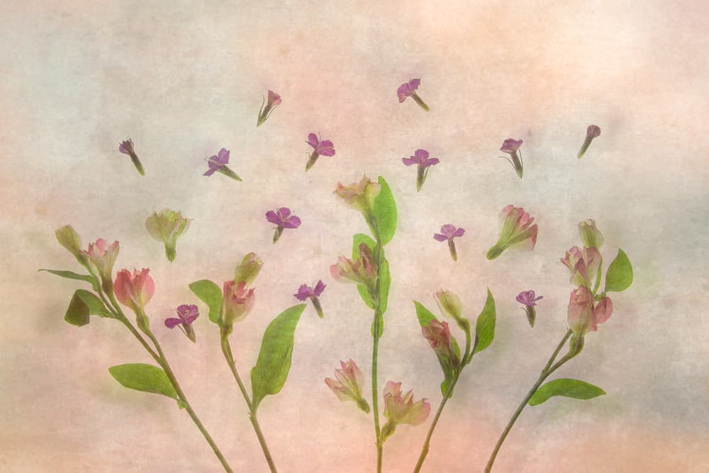 Fading Floral Delicacy by Aidong Ning — canvas wall art