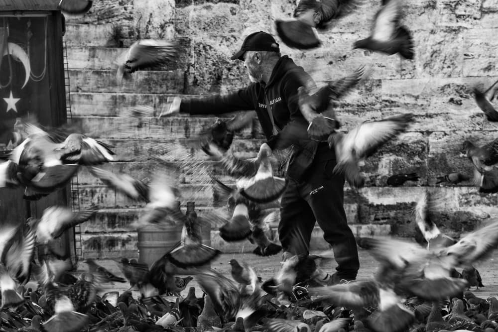 Man and Flying Pigeons by Pavol Stranak — canvas wall art