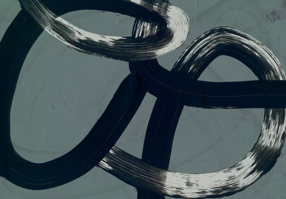 Fluid Abstract Strokes by Edward Selkirk — canvas wall art