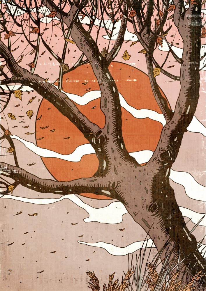 Autumn Tree Sunset by Nicholas — canvas wall art
