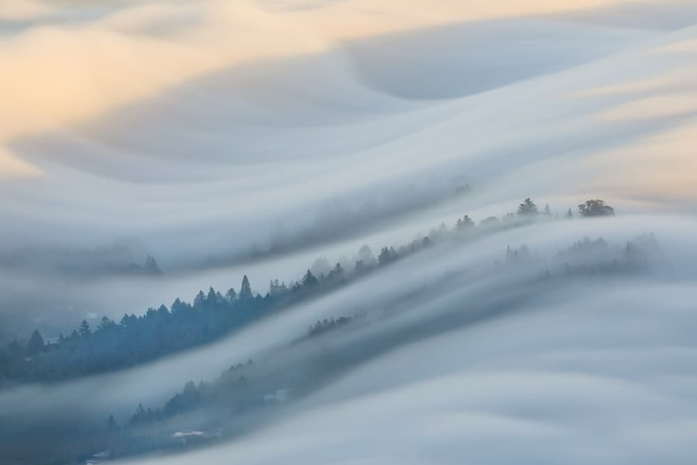 The Waves of Fogs by Jenny Qiu — canvas wall art