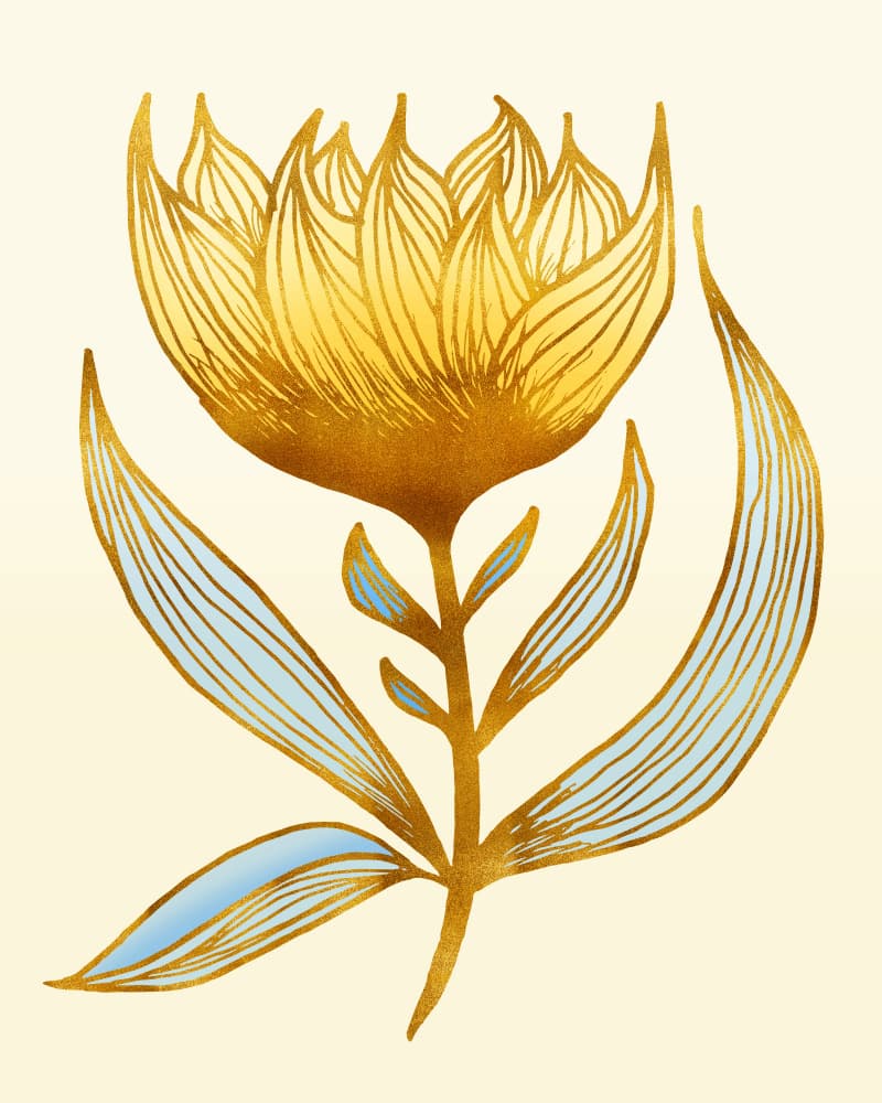 Sunflower Queen 2 by Kristian Gallagher — canvas wall art